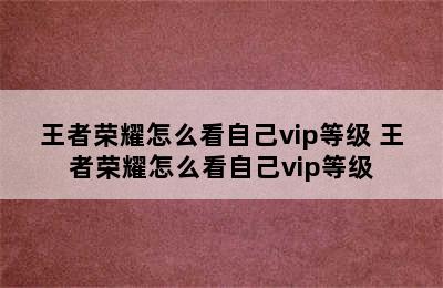 王者荣耀怎么看自己vip等级 王者荣耀怎么看自己vip等级